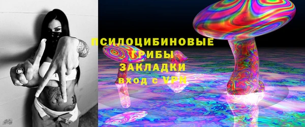 крисы Рославль