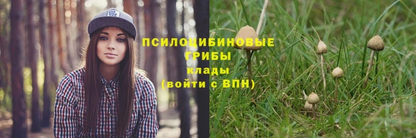 ALPHA PVP Ростов