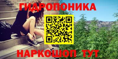 прущая мука Гатчина