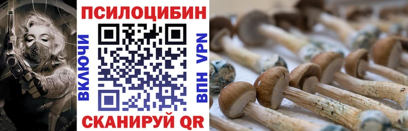 Псилоцибиновые грибы мухоморы закладки Анжеро-Судженск